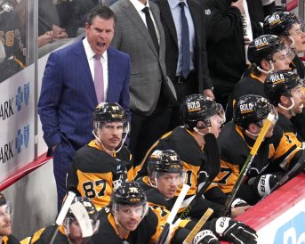 article image - Sharks Penguins Hockey